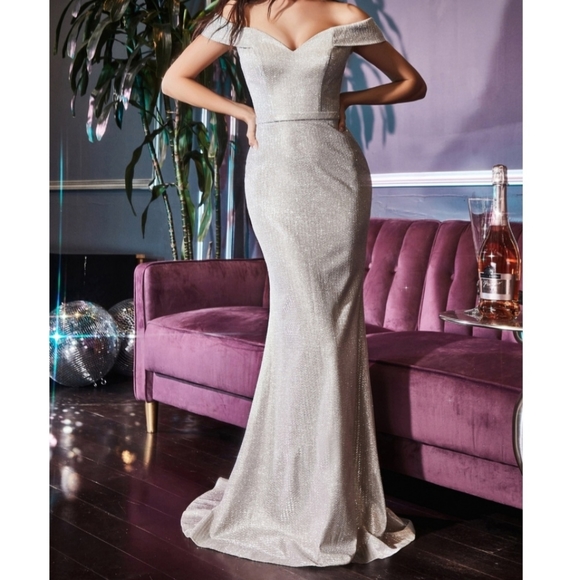 Platinum Evening Gown - Picture 1 of 3